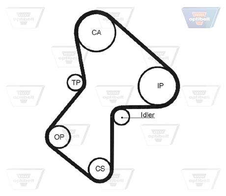 Timing Belt