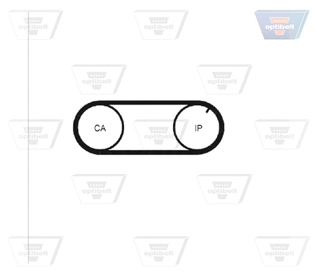 Timing Belt