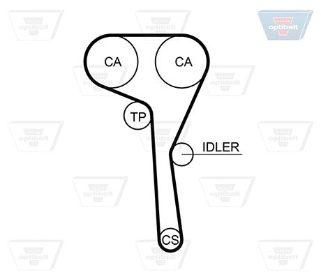 Timing Belt
