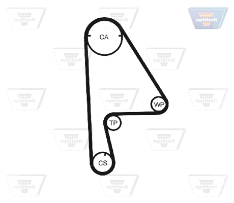 Timing Belt