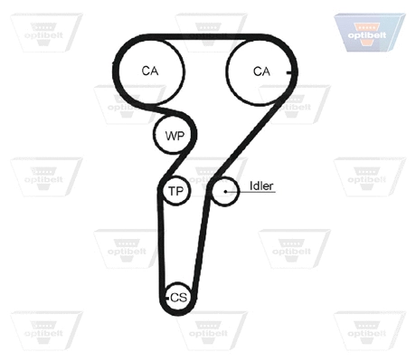 Timing Belt