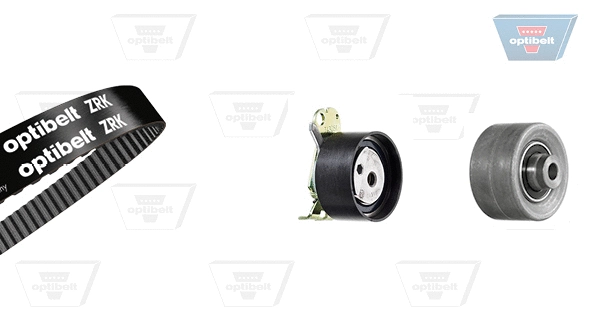 Timing Belt Kit (KT 1309)