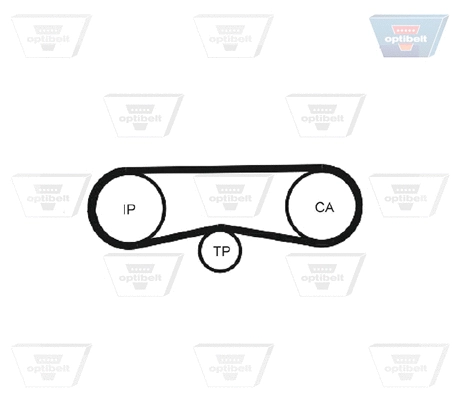 Timing Belt