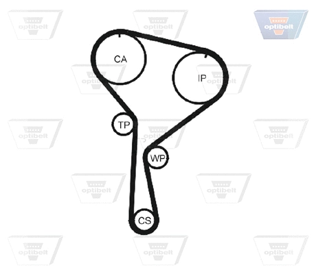 Timing Belt