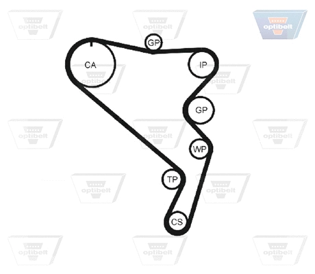 Timing Belt