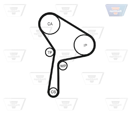 Timing Belt
