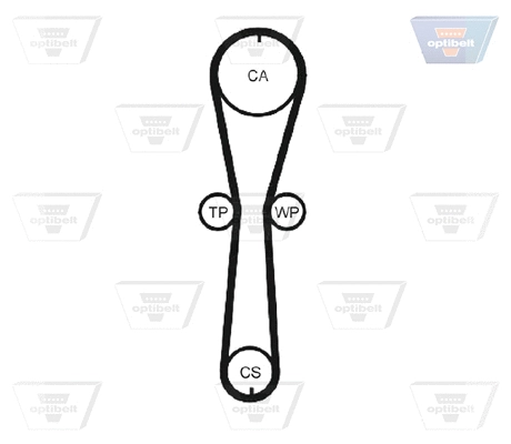Timing Belt