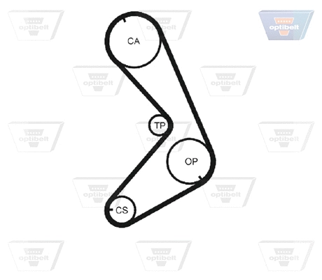 Timing Belt
