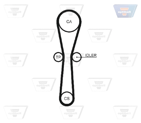 Timing Belt
