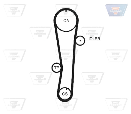 Timing Belt