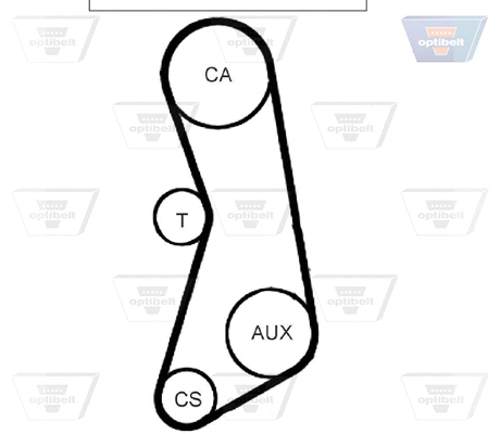 Timing Belt