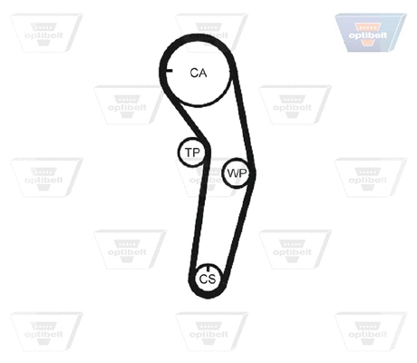 Timing Belt