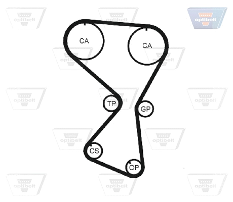 Timing Belt