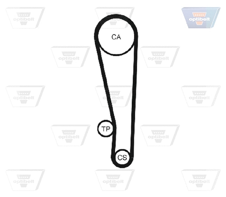 Timing Belt