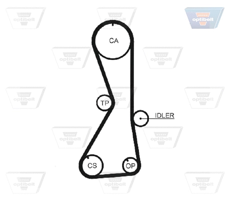 Timing Belt