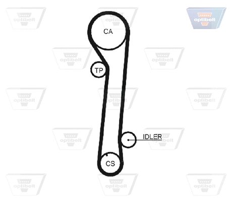 Timing Belt