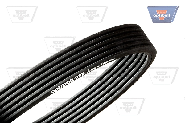 V-Ribbed Belt (8 DPK 1355)