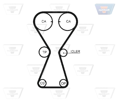 Timing Belt