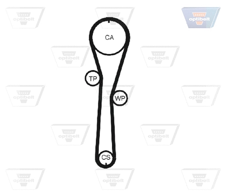 Timing Belt