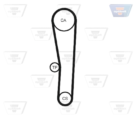 Timing Belt