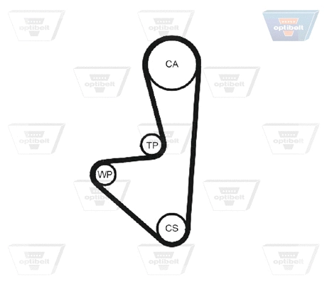 Timing Belt