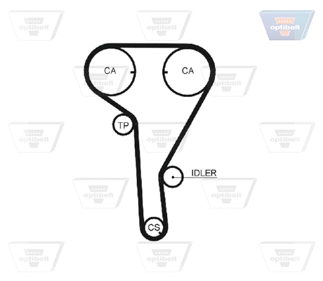 Timing Belt