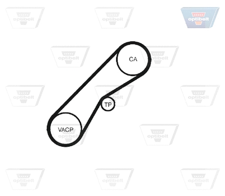 Timing Belt