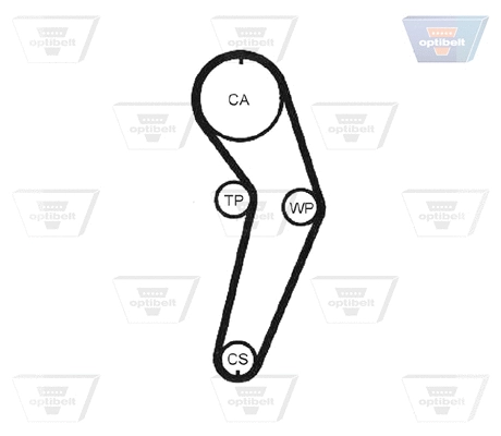 Timing Belt