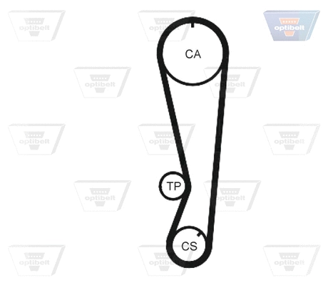 Timing Belt