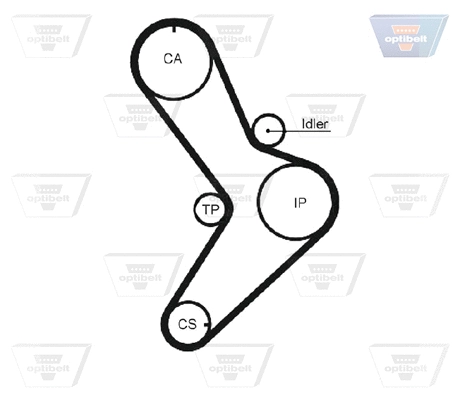 Timing Belt