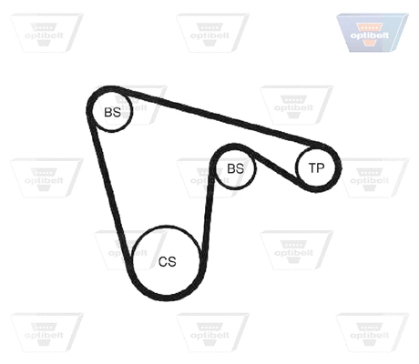Timing Belt
