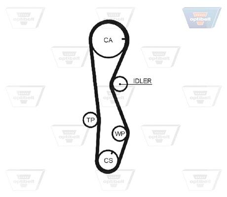 Timing Belt