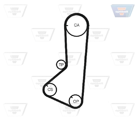 Timing Belt