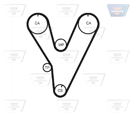 Timing Belt