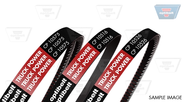 V-Ribbed Belt (CP10516)