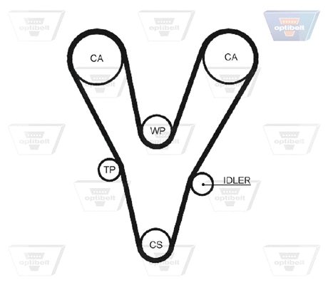 Timing Belt