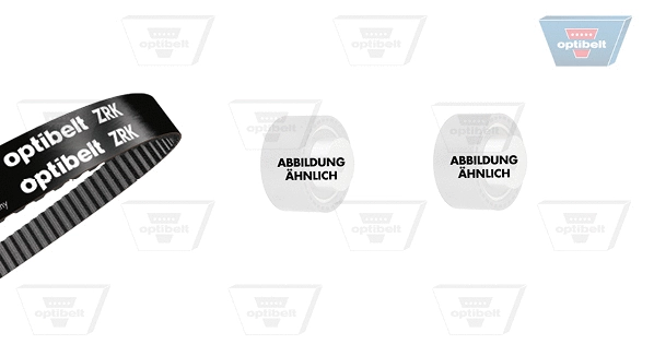 Timing Belt Kit (KT 1631)