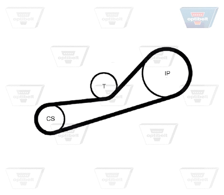 Timing Belt