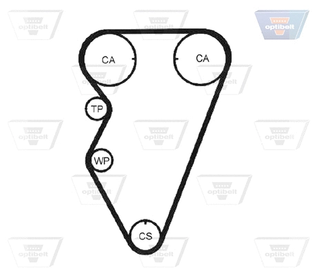 Timing Belt