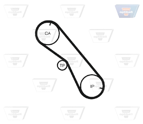 Timing Belt