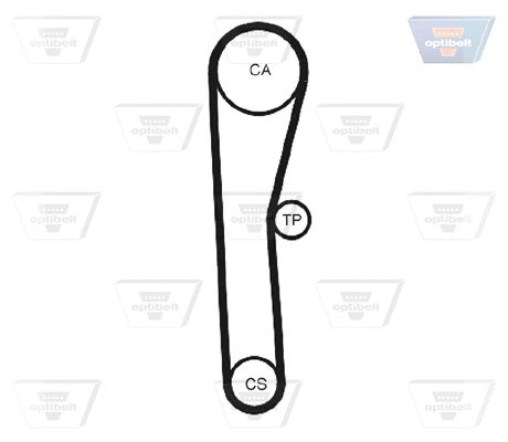 Timing Belt