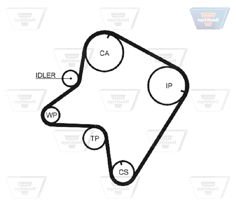 Timing Belt