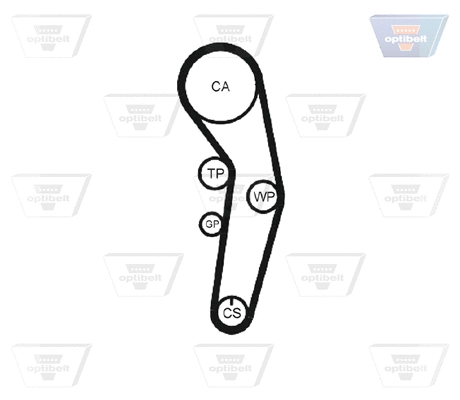 Timing Belt