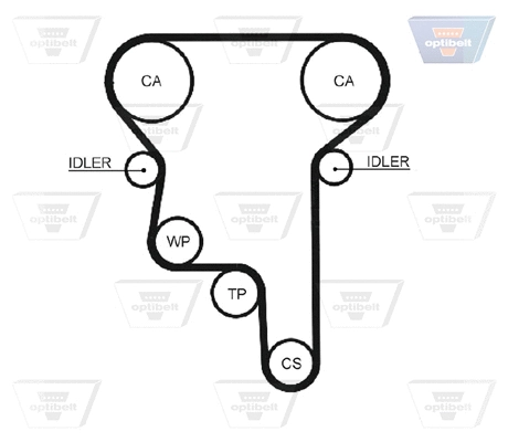Timing Belt