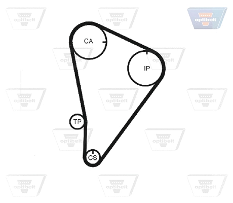 Timing Belt