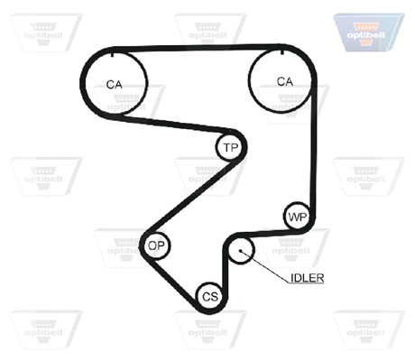 Timing Belt