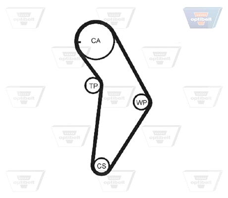 Timing Belt