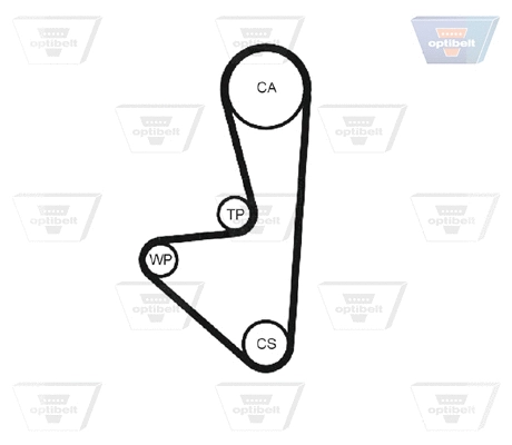 Timing Belt