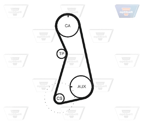 Timing Belt