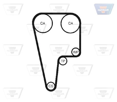 Timing Belt